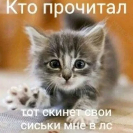 Стикер 19