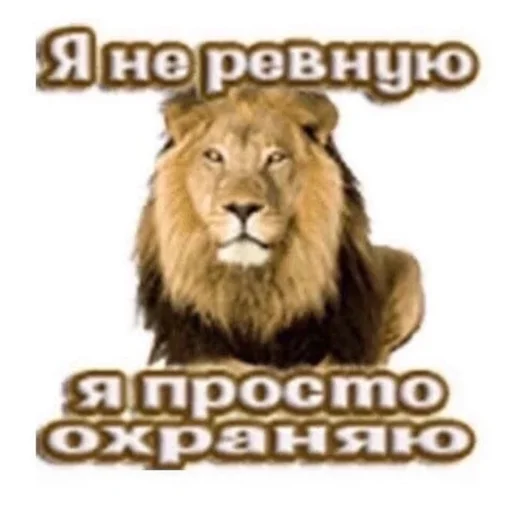 Стикер 23