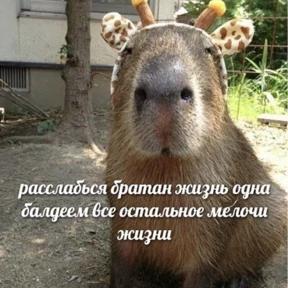 Стикер 11