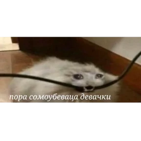 Стикер 15