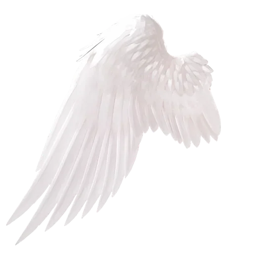 Стикер 16