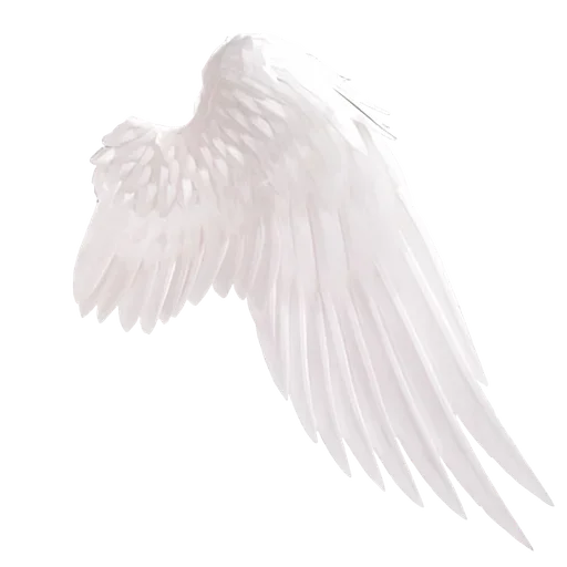 Стикер 20