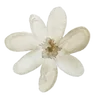 δᥱжᥱʙыᥱ 2