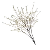 δᥱжᥱʙыᥱ 5