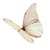 Стикер 9