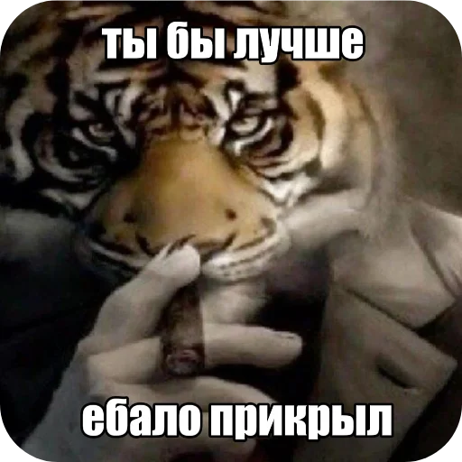 Стикер 21