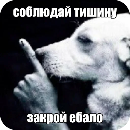 Стикер 23