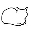 cat 6