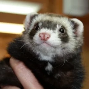 Стикер 7