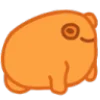 orange ♡ 3