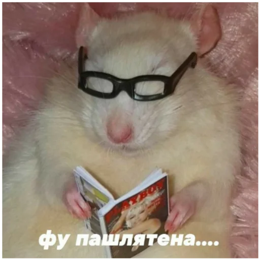 Стикер 9