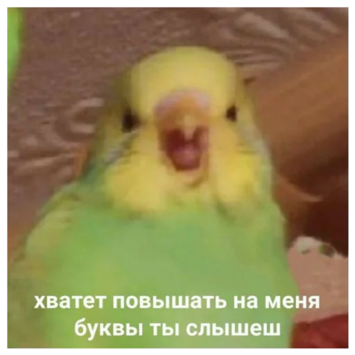 Стикер 15