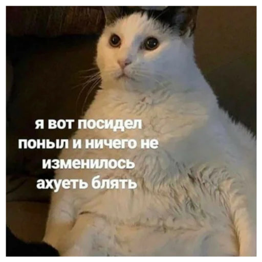 Стикер 17