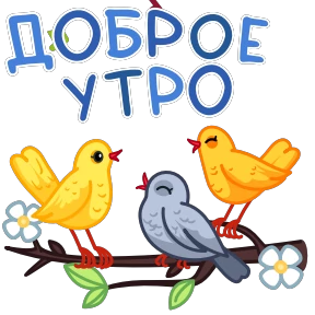 Открытки 2 6