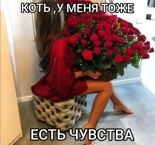 Lady Fuck 6