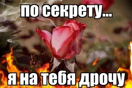 Стикер 19