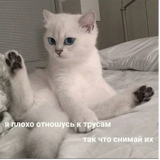 Стикер 9