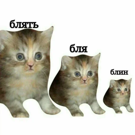Стикер 15