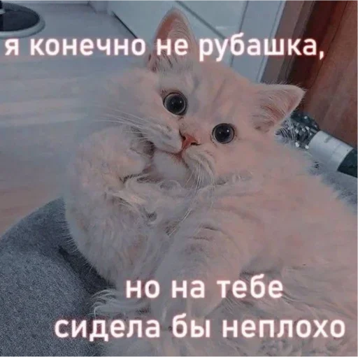 Стикер 16