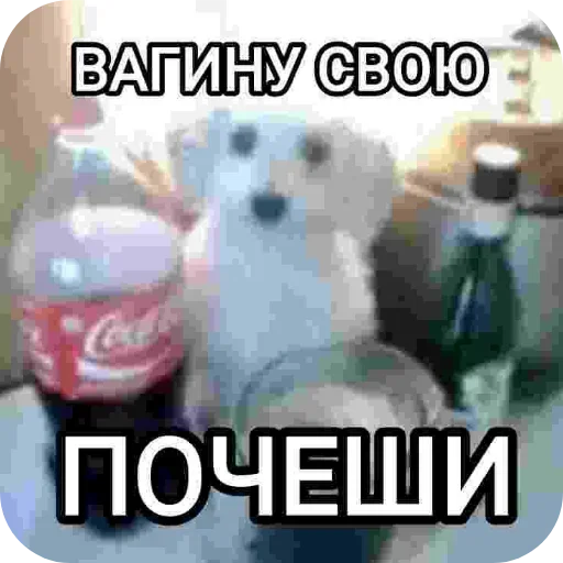Стикер 23