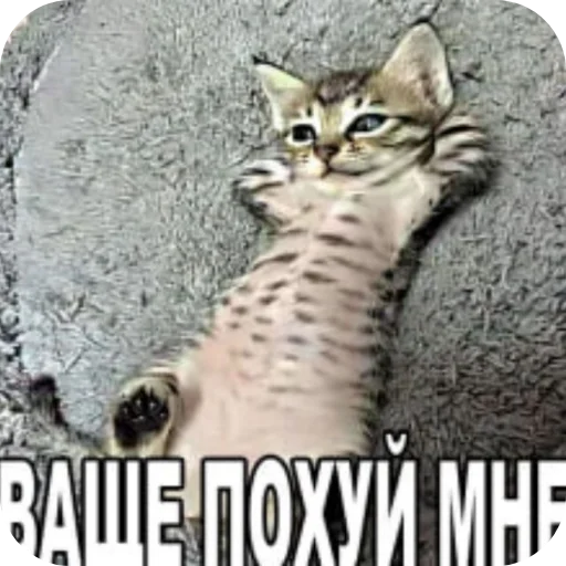 Стикер 20