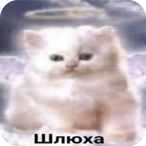 Стикер 22