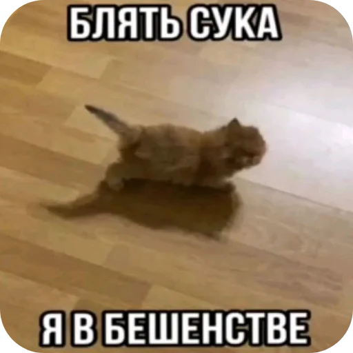 Стикер 23