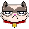 pixel random 1 5