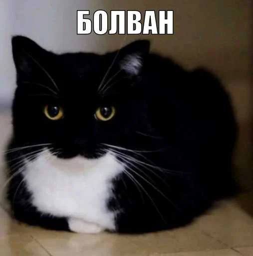 Стикер 12