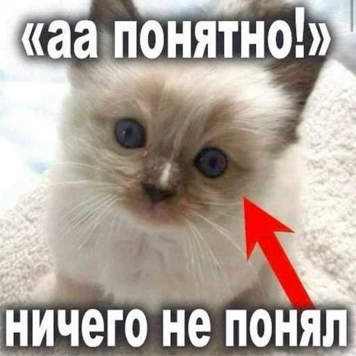 Стикер 13