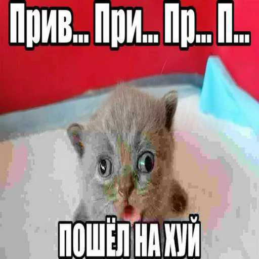 Стикер 20