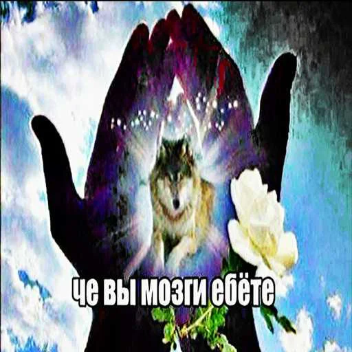 Стикер 8