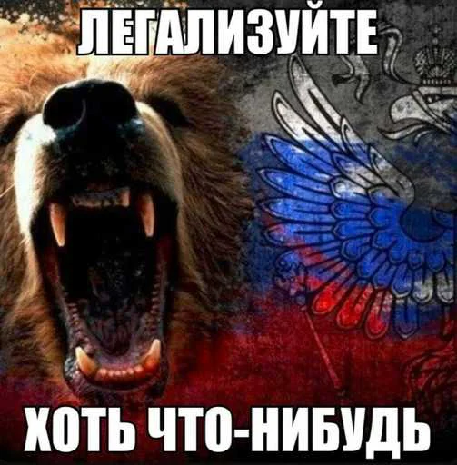 Стикер 9