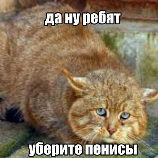 Стикер 11