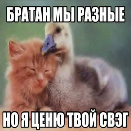 Стикер 14