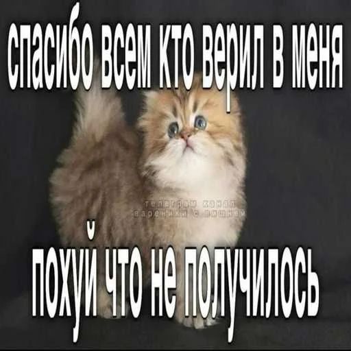 Стикер 15