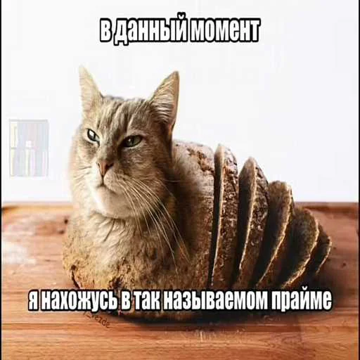 Стикер 17