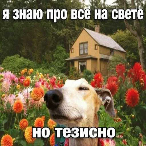 Стикер 18