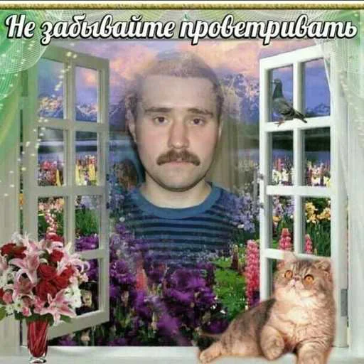 Стикер 20