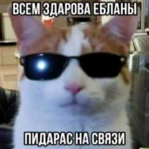 Стикер 21