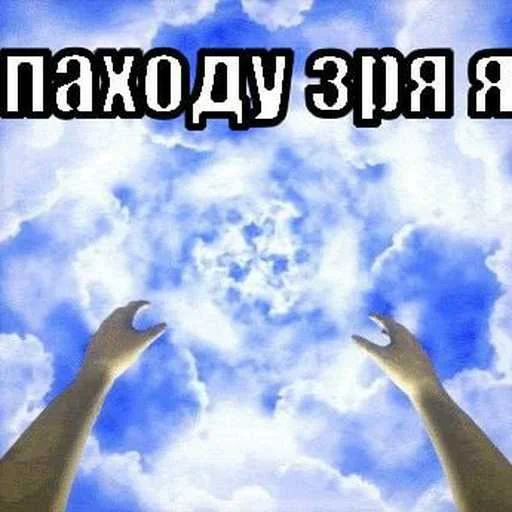 Стикер 24