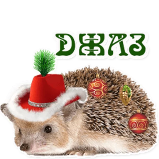 podaro4ki