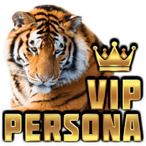 podaro4ki 6