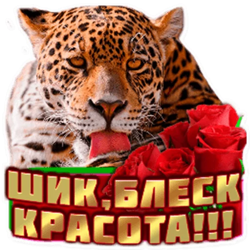 Стикер 8