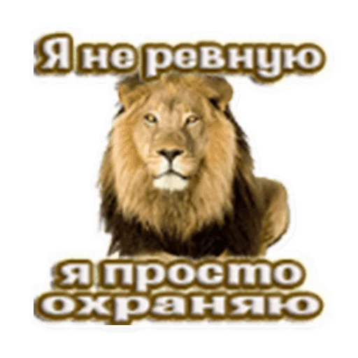 Стикер 11