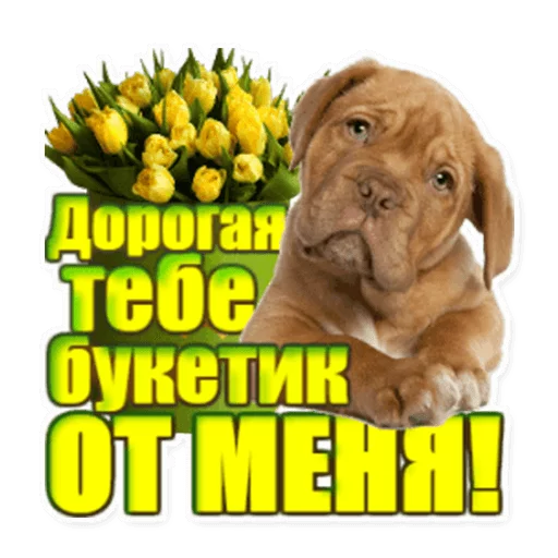 Стикер 12