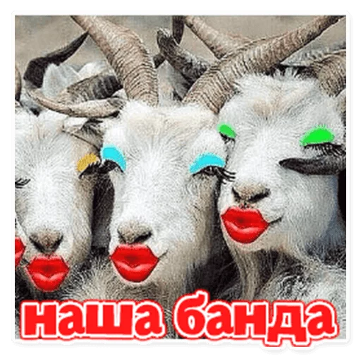 Стикер 20