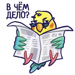 Попугайчики 3