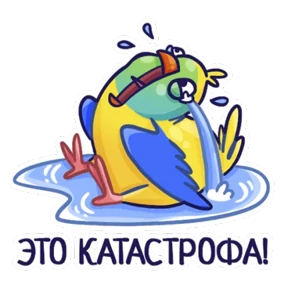Попугайчики 5