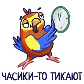 Попугайчики 6